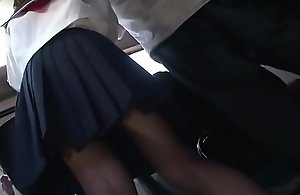 Japan Public Bus Fucking (Schoolgirl)