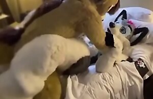 Cute Fursuit lowly moans cutely be useful to