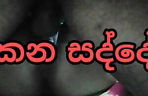 Sri lankan couple sex sound  api hukana sadde